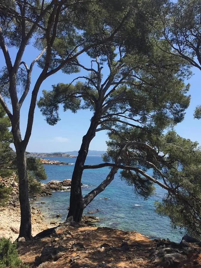 Villa Cocody Bandol