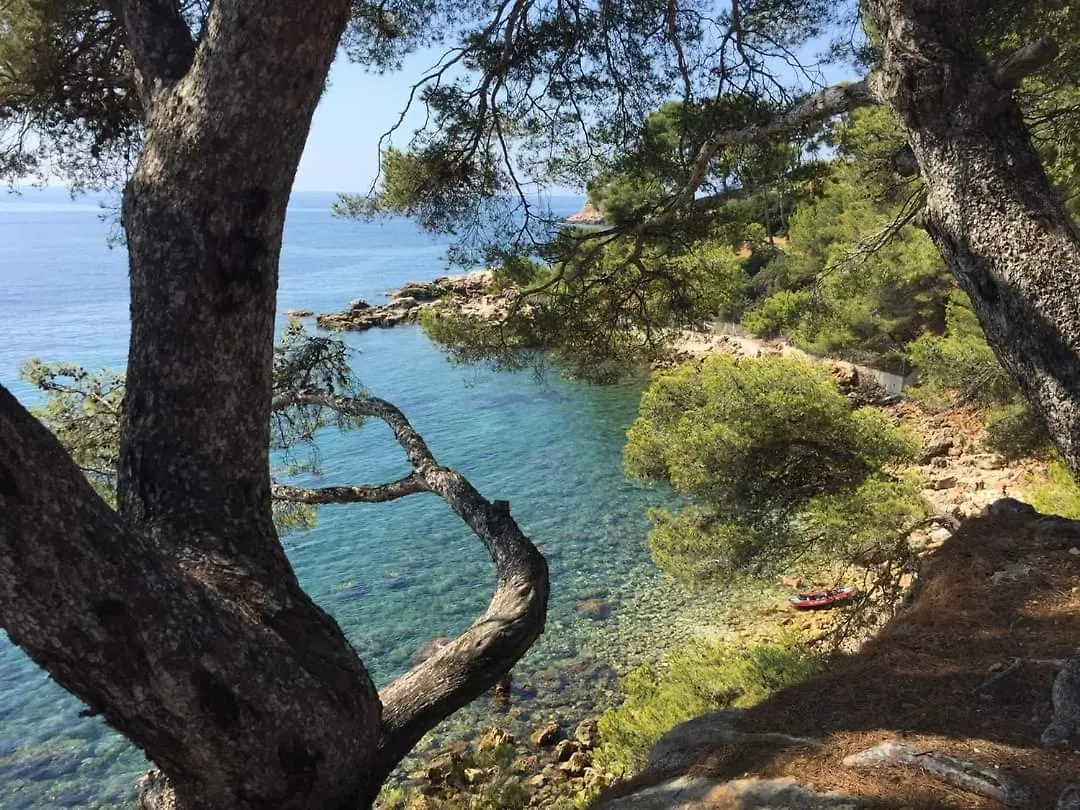 Villa Cocody Bandol